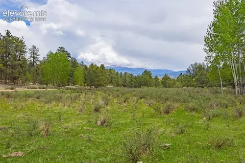 4250 Doe Valley Rd, Guffey, CO 80820