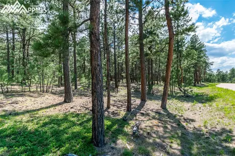 19084 Hilltop Pines Path, Monument, CO 80132 photo 1