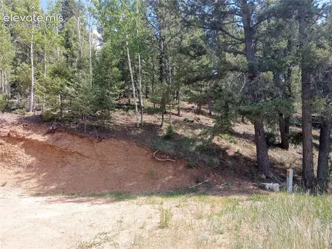 138 Glenwood Ln, Woodland Park, CO 80863