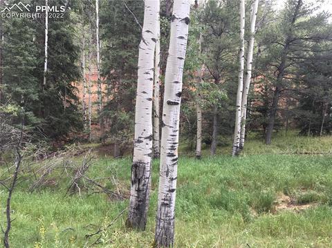 95 Kernite Ln, Divide, CO 80814 photo 1
