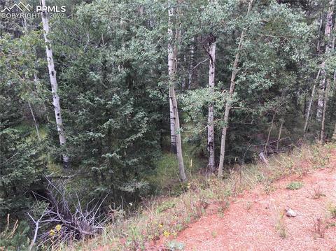 95 Kernite Ln, Divide, CO 80814 photo 6