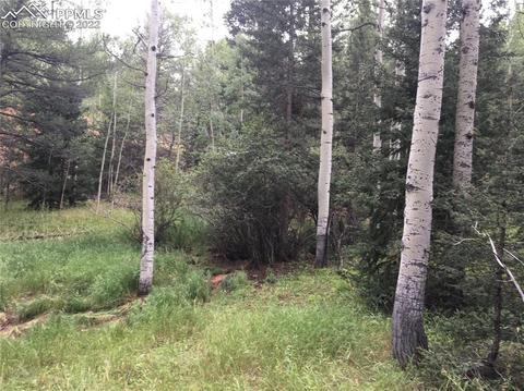 95 Kernite Ln, Divide, CO 80814 photo 2