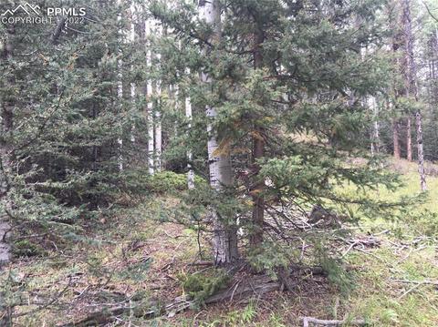 95 Kernite Ln, Divide, CO 80814 photo 4