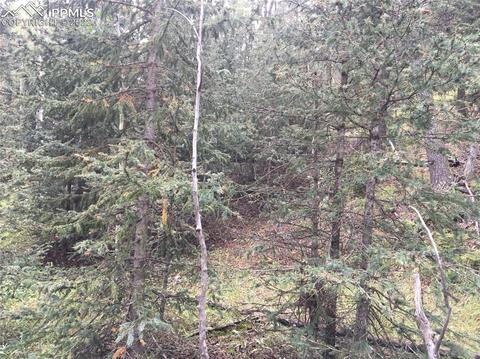 95 Kernite Ln, Divide, CO 80814 photo 5