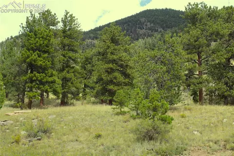 Highway 24, Hartsel, CO 80827