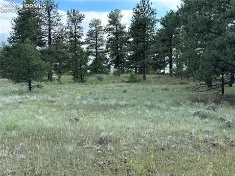 156 Ranch Resorts Dr, Florissant, CO 80816