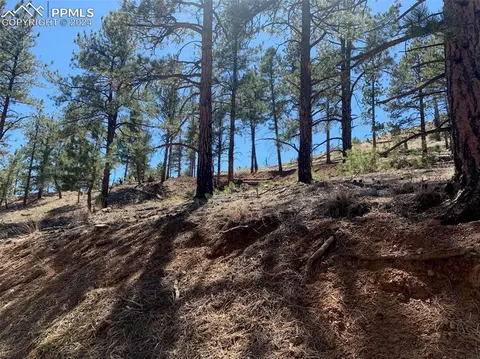 15421 Westcreek Rd, Woodland Park, CO 80863