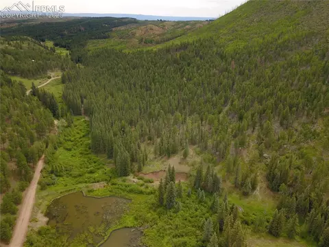 10223 Trail Creek Rd, Florissant, CO 80816