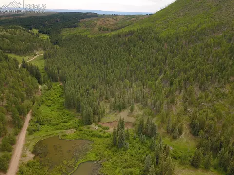 10223 Trail Creek Rd, Florissant, CO 80816