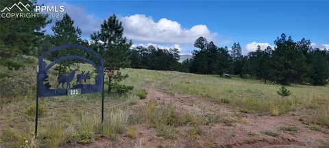 232 Coyote Ln, Guffey, CO 80820