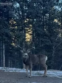 Other - 1 Como St, Como, CO 80432 photo 6 of 14