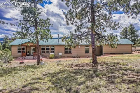 496 Julia Rd, Guffey, CO 80820 photo 5
