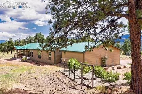 496 Julia Rd, Guffey, CO 80820 photo 4