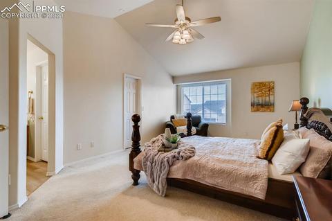 461 Talus Rd, Monument, CO 80132 photo 20
