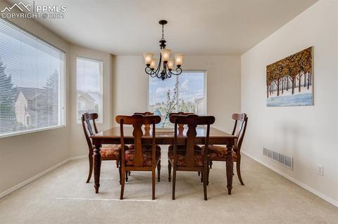 461 Talus Rd, Monument, CO 80132 photo 13