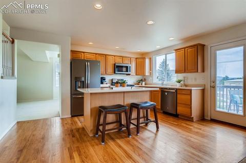 461 Talus Rd, Monument, CO 80132 photo 9
