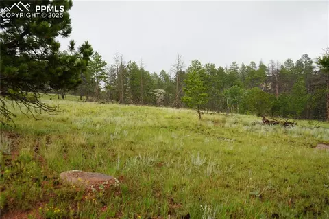 308 Chapparal Trl, Florissant, CO 80816