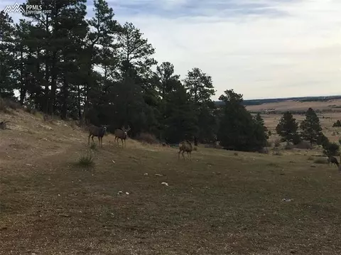 12667 County Road 90 Na Na, Elbert, CO 80106 photo 25