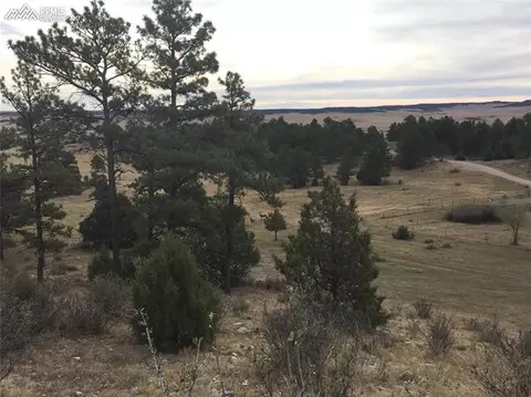 12667 County Road 90 Na Na, Elbert, CO 80106 photo 29