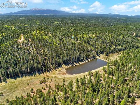 926 John Dr, Divide, CO 80814 photo 3