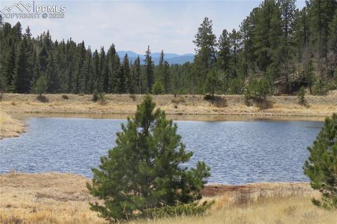 926 John Dr, Divide, CO 80814 photo 13