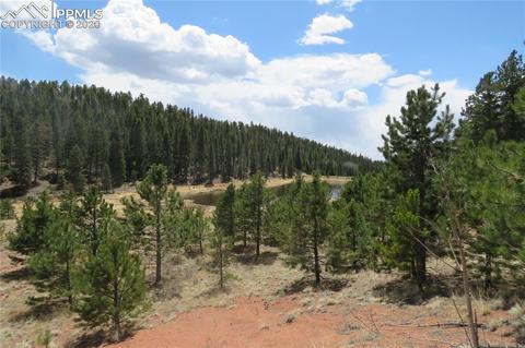 926 John Dr, Divide, CO 80814 photo 7
