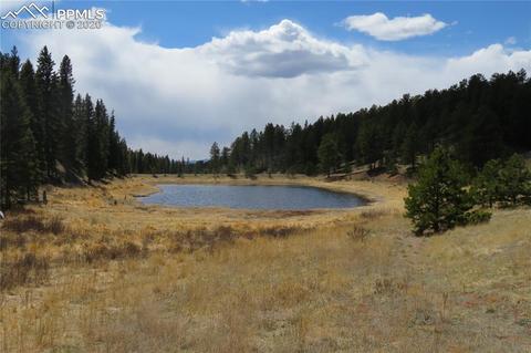 926 John Dr, Divide, CO 80814 photo 21