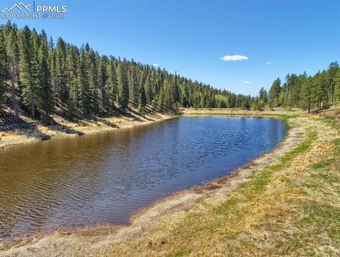 926 John Dr, Divide, CO 80814 photo 14