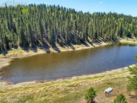 926 John Dr, Divide, CO 80814 photo 5