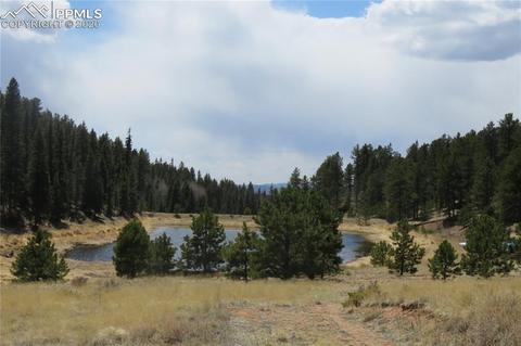 926 John Dr, Divide, CO 80814 photo 20