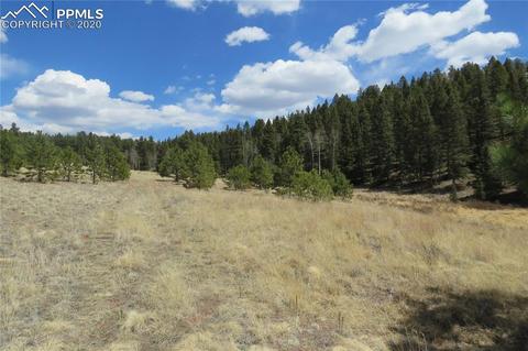 926 John Dr, Divide, CO 80814 photo 11