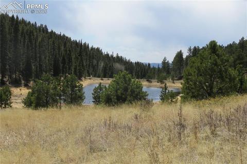 926 John Dr, Divide, CO 80814 photo 10