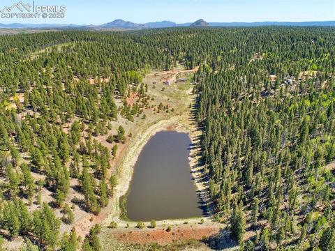 926 John Dr, Divide, CO 80814 photo 17