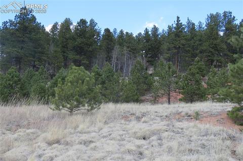 926 John Dr, Divide, CO 80814 photo 15