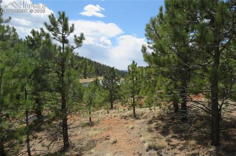 926 John Dr, Divide, CO 80814 photo 8