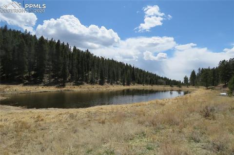 926 John Dr, Divide, CO 80814 photo 12