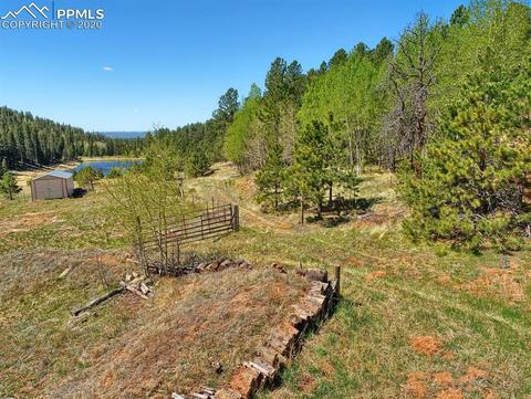 926 John Dr, Divide, CO 80814 photo 27