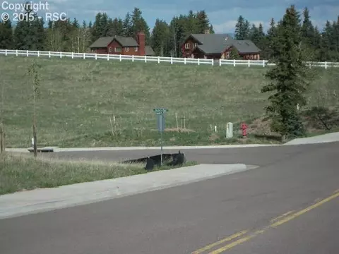 102 Samantha Way, Divide, CO 80814 photo 1