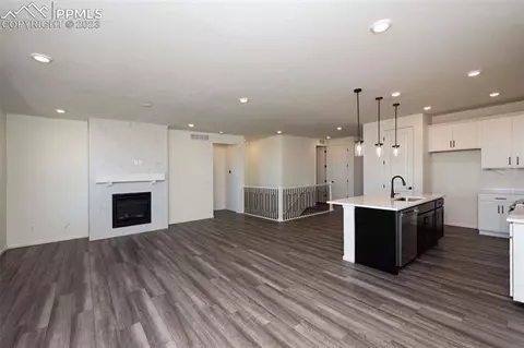 2120 Peachleaf Loop, Castle Rock, CO 80108 photo 12