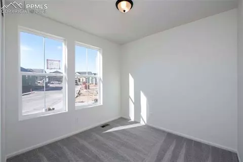 2120 Peachleaf Loop, Castle Rock, CO 80108 photo 5