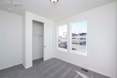2120 Peachleaf Loop, Castle Rock, CO 80108 photo 6