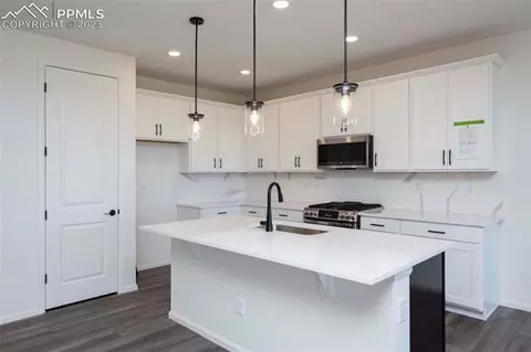 2120 Peachleaf Loop, Castle Rock, CO 80108 photo 14