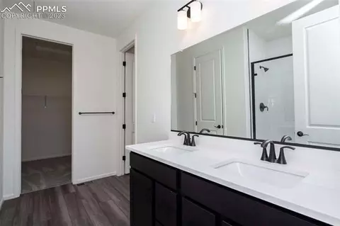 2120 Peachleaf Loop, Castle Rock, CO 80108 photo 18
