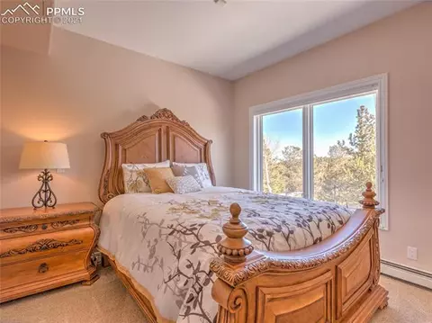 800 Elk Ridge South Rd, Divide, CO 80814 photo 14