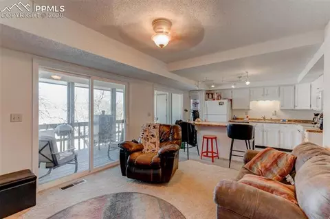 402 Raspberry Ln, Monument, CO 80132 photo 31