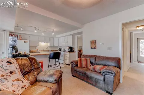 402 Raspberry Ln, Monument, CO 80132 photo 34