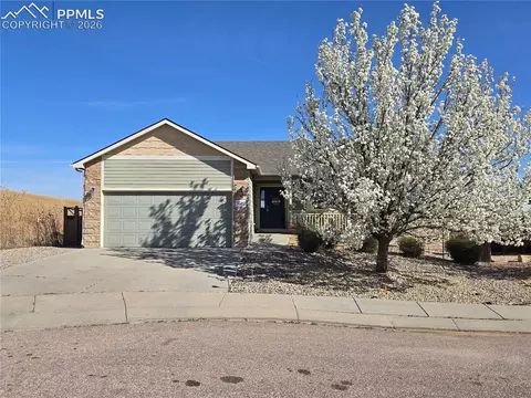 7502 Willow Pines Pl, Fountain, CO 80817