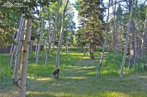 128 Minstrel Dr, Divide, CO 80814 photo 17