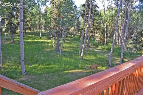 128 Minstrel Dr, Divide, CO 80814 photo 21