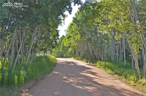 128 Minstrel Dr, Divide, CO 80814 photo 14